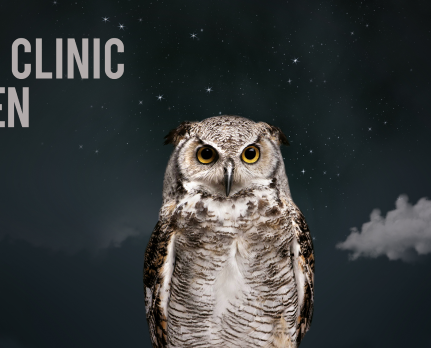 Buzzstop - An agency where ideas take flight & the buzz goes on